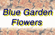 www.bluegardenflower.com