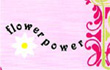 www.flowerpowercy.com